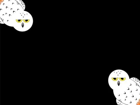 White owl isolated on a black background Stock Illustration