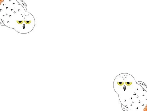 White owl isolated on a white background Stock Illustration