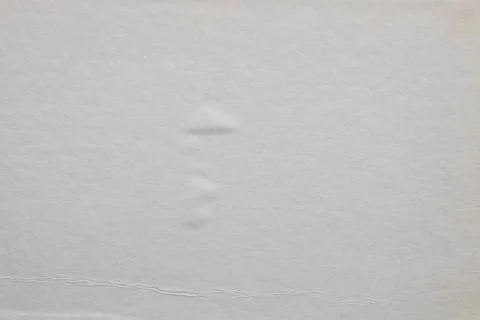 White page in a book close-up as a background Stock Photos