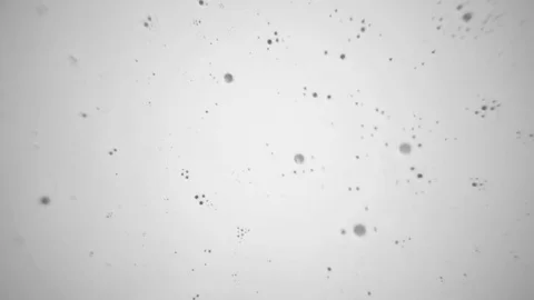 White Paint on a Black Background Stock Footage 83446558