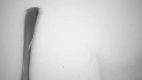 White Paint on a Black Background Stock Footage 83455555