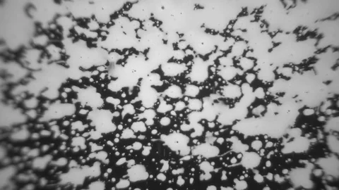 White Paint on a Black Background Stock Footage 83455585