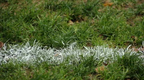 White Paint Line on Windy Grass Stock Footage 22853110