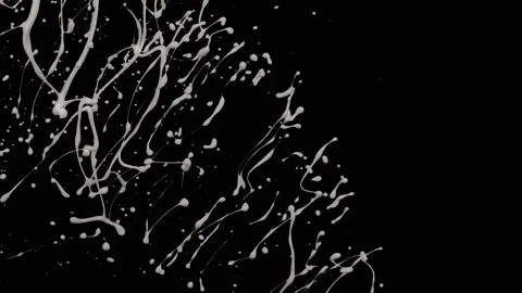 White paint splash thrown in slow motion, liquid isolated on black (4K) Stock Footage 137112597