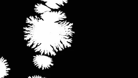 White paint splashes on black background Stock Footage 152525528
