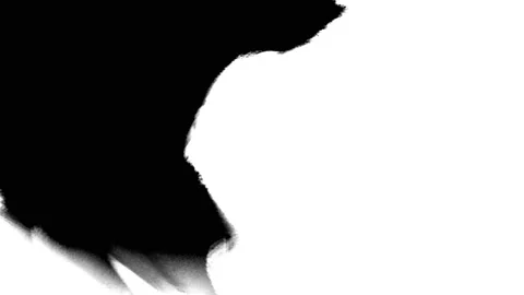White paint spread transition mask Stock Footage 172064334