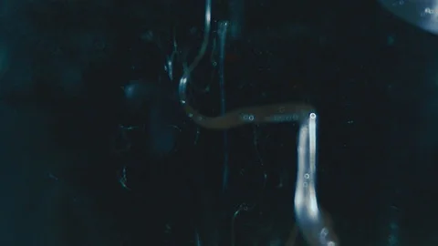 White Paint In Water In Slowmotion Stock Footage 129251886