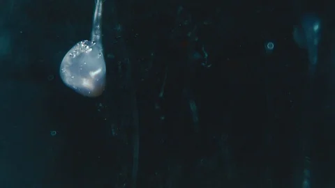 White Paint In Water In Slowmotion Stock Footage 129251985