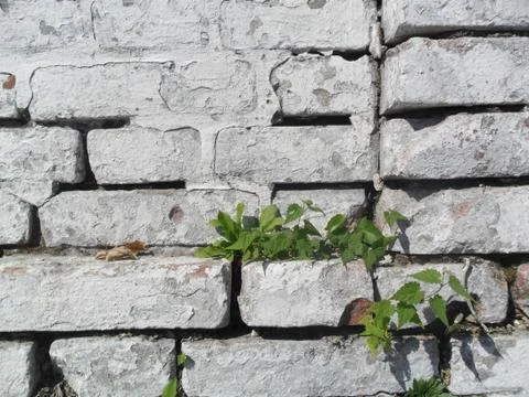 White painted brick wall Stock Photos
