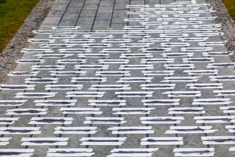 White painted lines on paved pathway Stock Photos