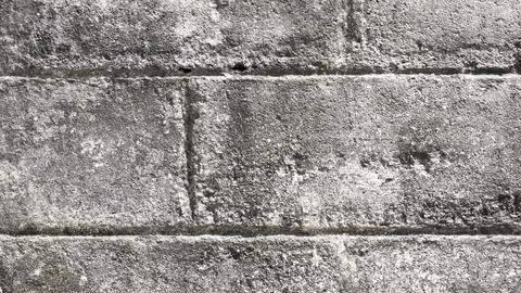 White painted wall texture or background. Photos