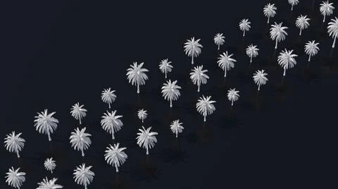 White palm trees. Black background. Abstract illustration, 3d render. Illustrazione stock