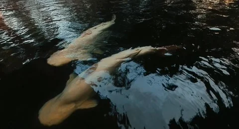 White Pangasius and Red Koi Fish Stock Footage 281731153