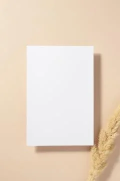 White paper empty blank, dried grass decoration on beige background. Invitati Stock Photos