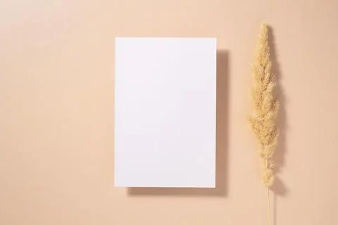 White paper empty blank, dried grass decoration on beige background. Invitati Stock Photos