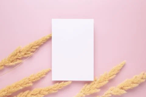 White paper empty blank, dried grass decoration on pink background. Invitat.. Stock Photos