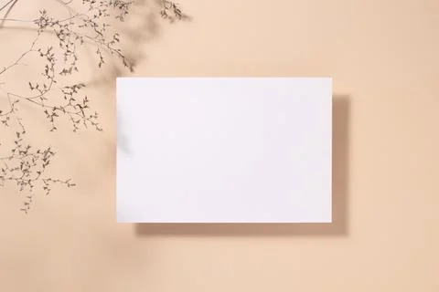 White paper empty blank, dried grass decoration on beige background. White .. Stock Photos
