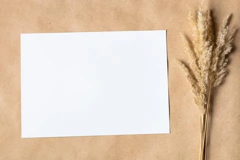 White paper empty blank for mock up with dried spikelets decoration on craf.. Stock Photos