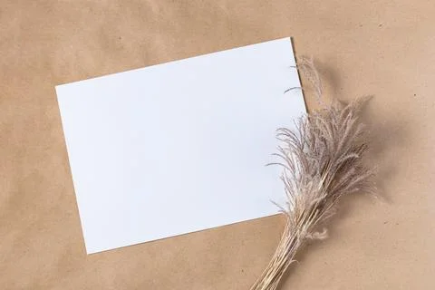 White paper empty blank for mock up with dried spikelets decoration on craf.. Stock-Fotos