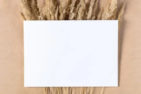 White paper empty blank for mock up with dried spikelets decoration on craf.. Stock Photos