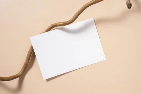 White paper empty blank, tree branch on beige background. Invitation card moc Stock Photos