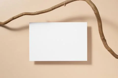 White paper empty blank, tree branch on beige background. Invitation card moc Stock Photos