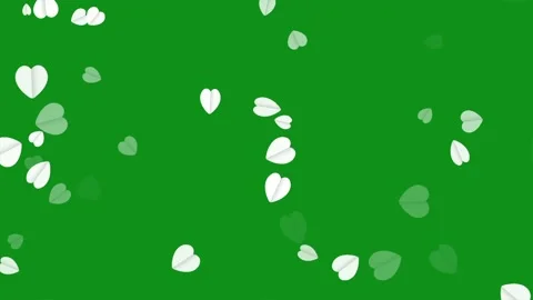 White paper hearts motion graphics with green screen background Stock Footage 332890005