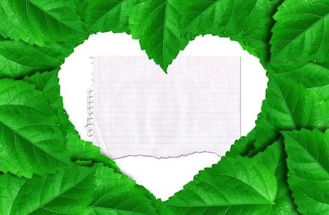 White paper on leaves pattern background Foto stock