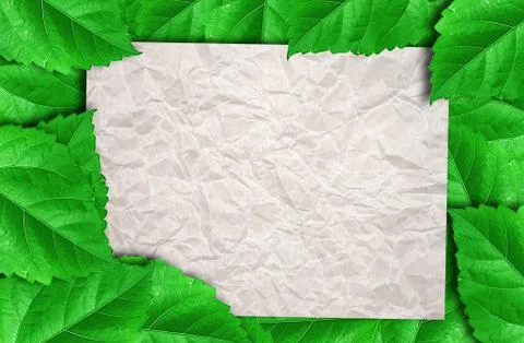 White paper on leaves pattern background Stock Photos