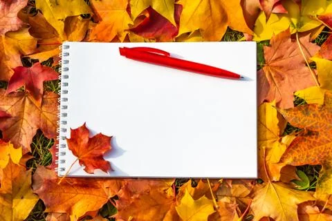 A white paper notepad with a white spring with a red ball-point pen lies on a Stock Photos