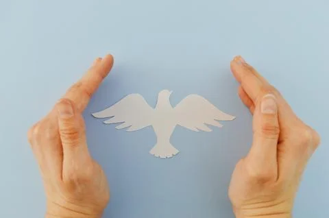 White paper origami bird on blue background Stock Photos