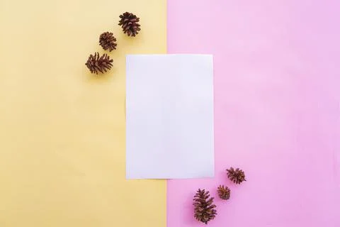 White Paper On Paper Background Two Pastel Colors Pink And Yellow With Fir Tr Stock Photos