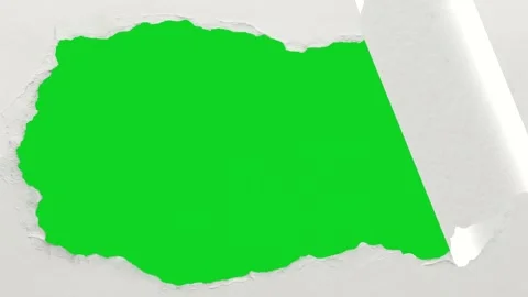 White paper peeling large square reveal revealing animated on green screen Stockbeeldmateriaal 335216343