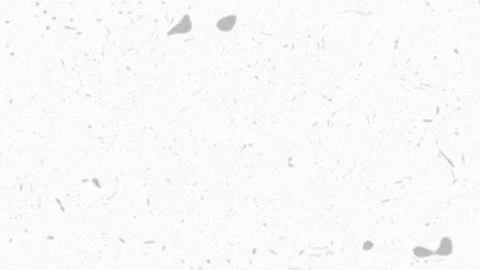 White paper texture background seamless loop stop motion animation. Stock Footage 324757818