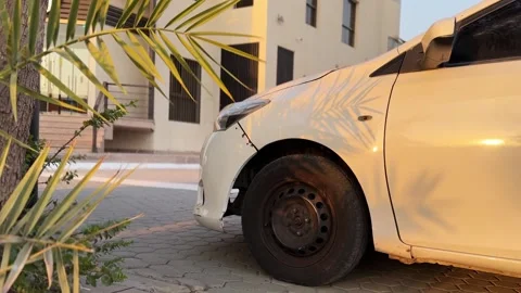White Parked Car With Palm Tree Shadows Stock Footage 346105841