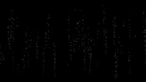 White Particles and Bokeh Bubbles on Black Background Overlay Video stock 341892800