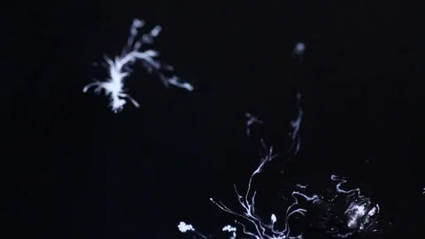 White particles and ink moving on black ... | Stock Video | Pond5