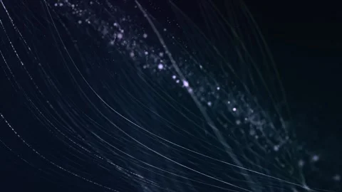 White Particles And Lights Lines Animation  Stock Footage 238687985