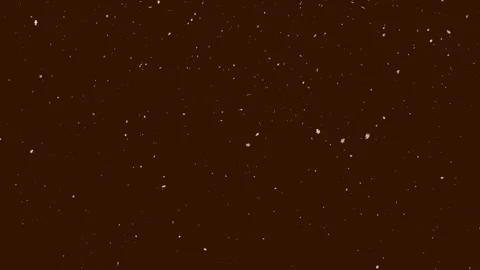 White particles on a brown background. Stock Footage 315436823