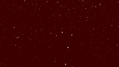 White particles on a dark red background. Stock Footage 310796225
