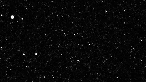 White particles flying on black background. Winter snow, falling snow animation Stock-Footage 305648184