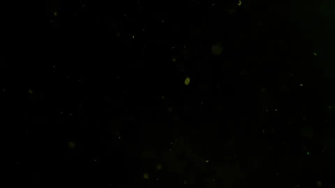 White particles suspended in Black backg... | Stock Video | Pond5