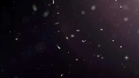 White particles VFX on alpha background | Stock Video | Pond5