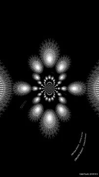 White pattern Design in black background Stock Photos