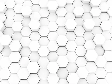 White pattern 스톡 일러스트