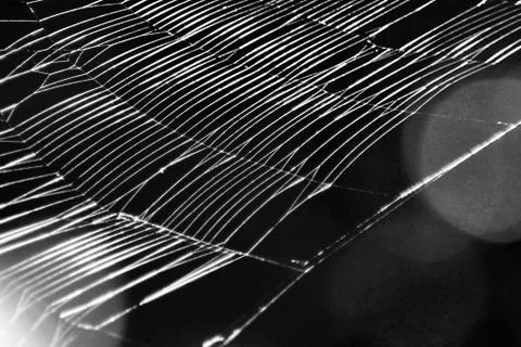 White pattern of spider's web isolated on black background.  Stock Photos
