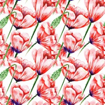 White Pattern with Watercolor Poppies Stock Illustration