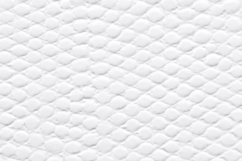 White patterned paper background as part of your interior. Stock Photos