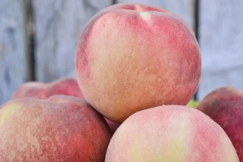 White peach from close Foto stock