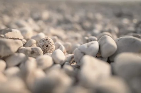 White Pebble Beach Rocks Stock Photos